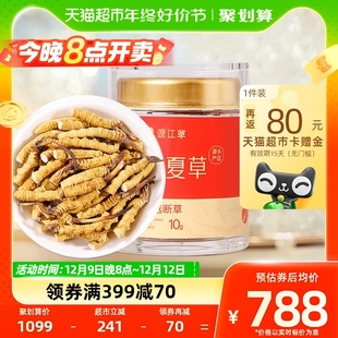 精选大号断虫草干货源头直供礼物 源江草冬虫夏草断草10克装