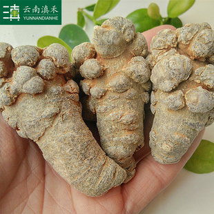 特级12头18头500g田七春三七可现磨三七粉 滇禾云南文山三七头正品💰