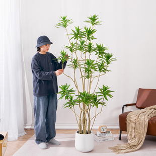 饰绿植假树摆件 北欧ins风仿真百合竹落地植物盆栽室内客厅大型装