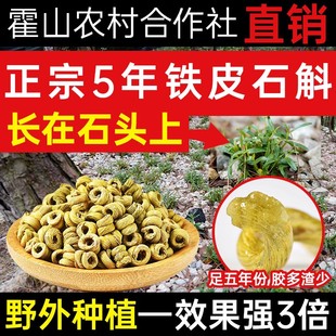 正宗安徽霍山铁皮石斛枫斗颗粒5年深山中林下生长石斛粉官方正品💰