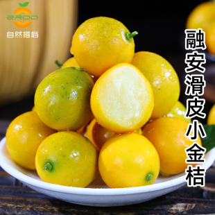 橘子 包邮🍬 广西融安滑皮小金桔新鲜水果4斤整箱脆甜冰糖当季