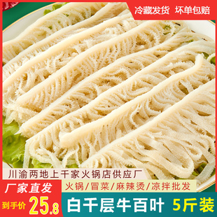 重庆火锅涮菜食材商用生鲜牛百叶 千层肚白毛肚毛肚新鲜冷冻5斤装