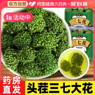 30天量 三七花云南正宗林下田七花正品💰 官方旗舰店非三七粉中藥材