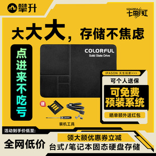 sata固态硬盘1T台式 机电脑笔记本SSD内存 七彩虹SL500 512G
