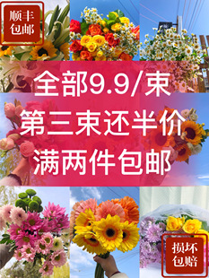 鲜花9.9 包邮🍬 云南昆明向日葵花香水百合多头玫瑰水养鲜切花洋桔梗