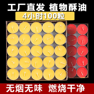 酥油灯灯盏100粒4小时8小时整箱佛前供灯家用无烟无味厂家直销