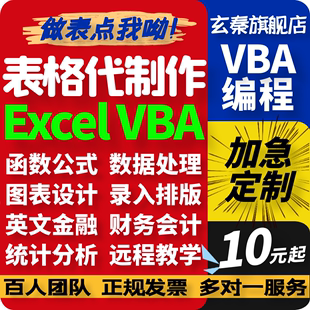 函数据处理分析统计 excel表格代做制作图表vba宏编程定制设计公式