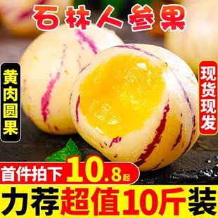 云南石林人参果10斤大果新鲜人叁果水果七彩黄肉圆果人生果 包邮🍬