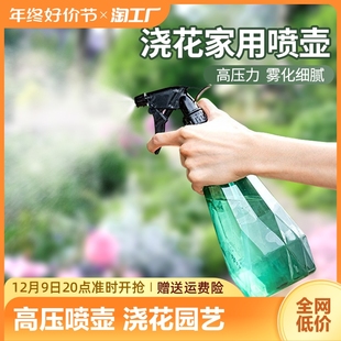喷水壶消毒专用家用园艺洒水壶 家用浇花喷壶浇水清洁喷雾器气压式