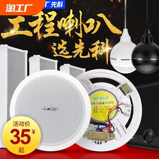 先科吸顶广播吊顶壁挂喇叭同轴吊球防水户外音柱无线音箱嵌入音响