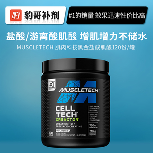 120份 白金纯盐酸肌酸粉 增健身爆发力耐力 肌肉科技MuscleTech