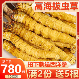 4条 克40根10克虫草旗舰店礼盒装 2023德杏堂冬虫夏草干货头期正品💰