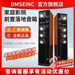 发烧级hifi音响5.1家庭影院高保真无源对箱落地前置音箱 DMSEINC