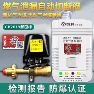 燃气液化气报警器自动切断阀餐饮商用饭店天然气煤气罐泄漏报警器