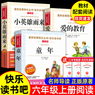 爱 送考点手册 教育小英雄雨来童年书全3册童年高尔基正版 课外书6年级上册上学期快乐读书吧阅读 小学生六年级必读 原著完整版