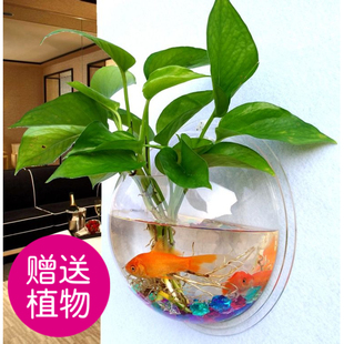 饰品餐厅客厅背景墙花盆 亚克力墙壁水培绿萝花盆瓶壁挂鱼缸墙面装