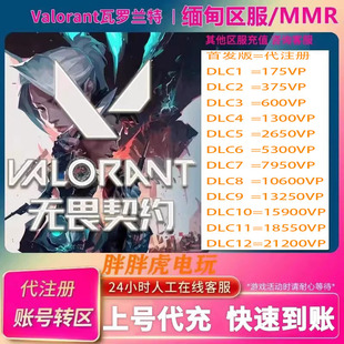 代注册MMR转区VP点数储值上号代充 Valorant瓦罗兰特代充值缅甸服