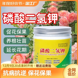 农用花肥料养花水溶肥促花保果 磷酸二氢钾肥料花卉专用叶面肥正品💰