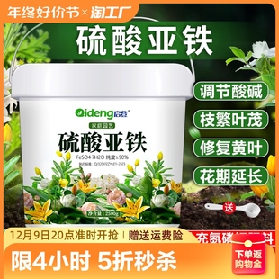 硫酸亚铁花肥料喜酸植物栀子花茶花杜鹃花桂花水溶肥防黄叶家用肥