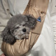 宠物包狗包斜挎包外出便携背包舒适猫狗通用单肩包狗狗用品猫包