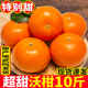 整箱一蜜桔柑橘级武鸣发货 正宗广西纯甜沃柑10斤橘子新鲜水果当季